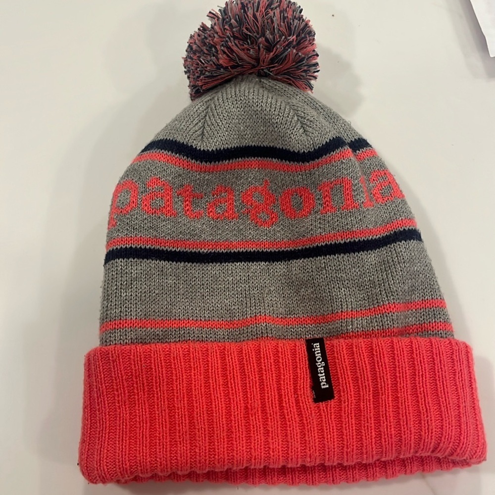 Patagonia winter hat